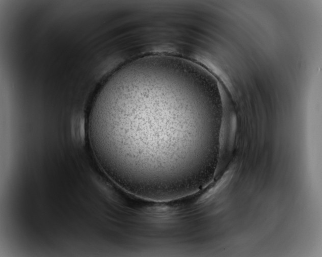 X0000092210253200709210955