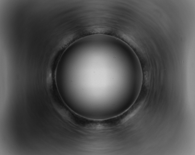 X0000092210254200709210955