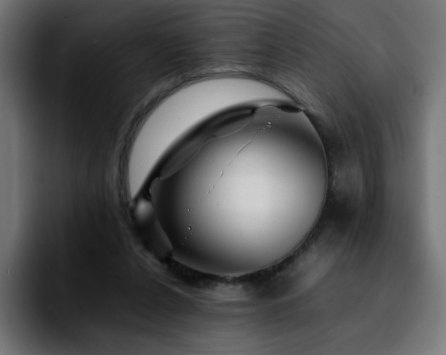 X0000092210256200709210955