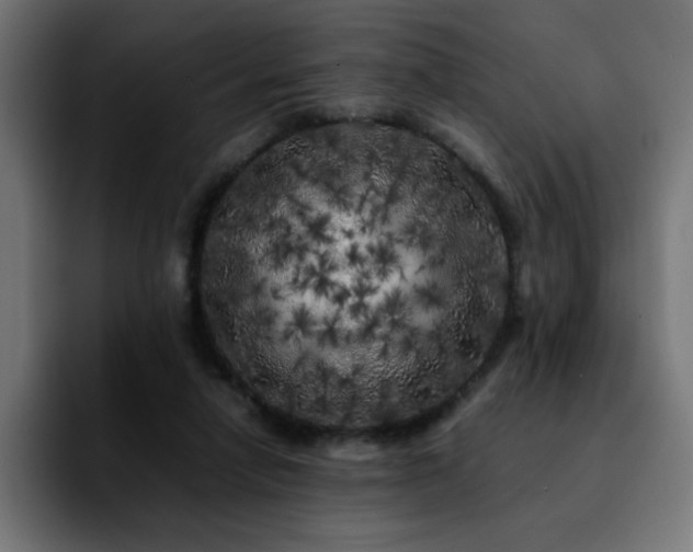 X0000092210258200709210955