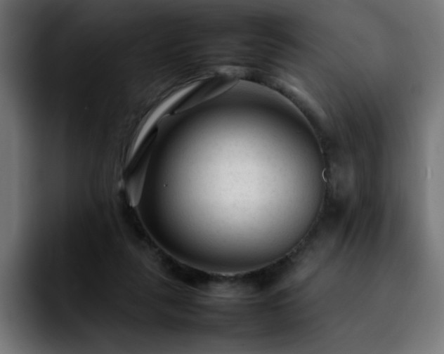 X0000092210259200709210955