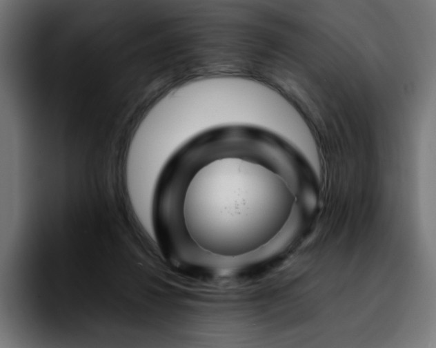 X0000092210260200709210955