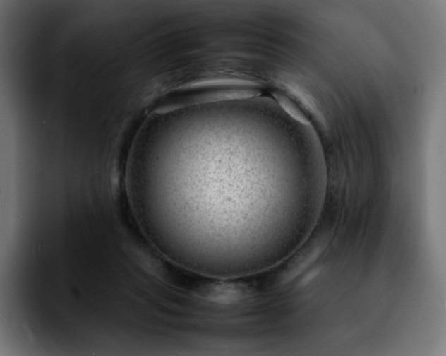 X0000092210261200709210955