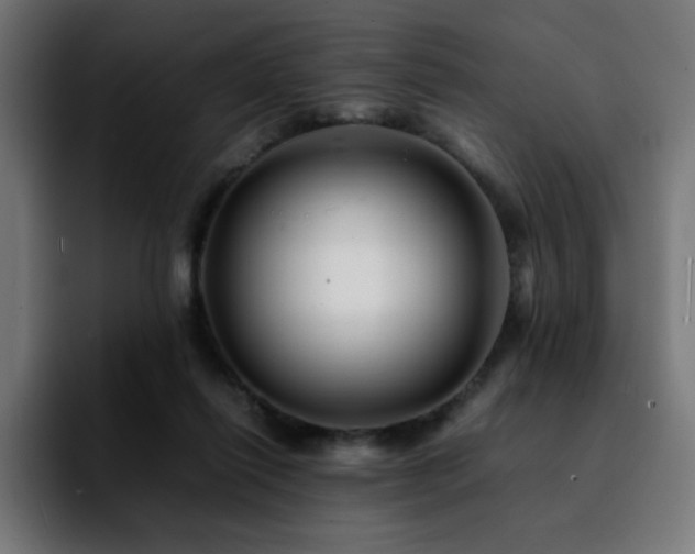 X0000092210262200709210955