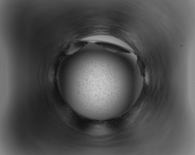 X0000092210263200709210955