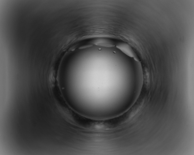 X0000092210264200709210955