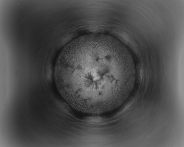 X0000092210266200709210955