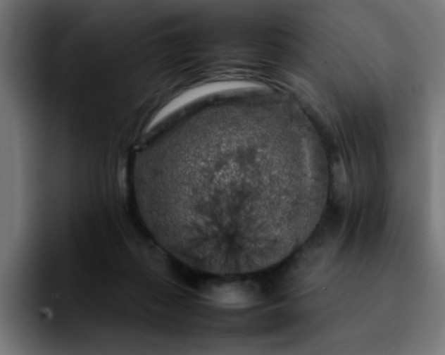 X0000092210267200709210955