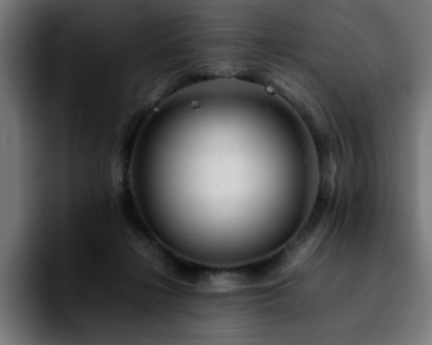 X0000092210268200709210955