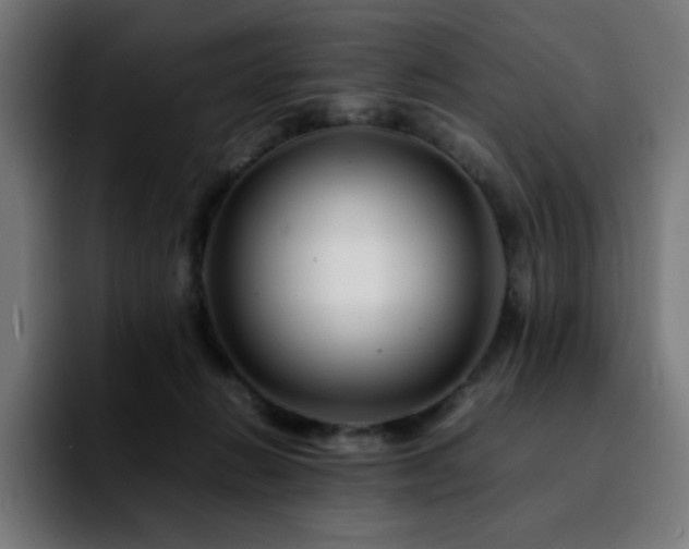 X0000092210270200709210955