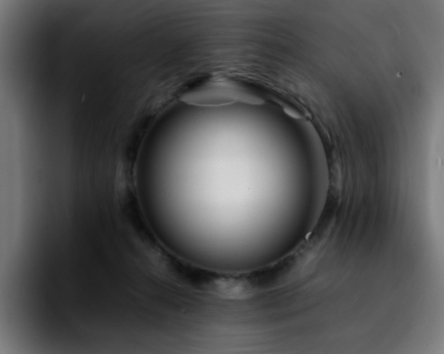 X0000092210272200709210955