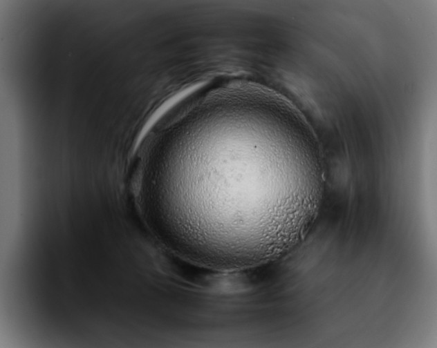 X0000092210273200709210955