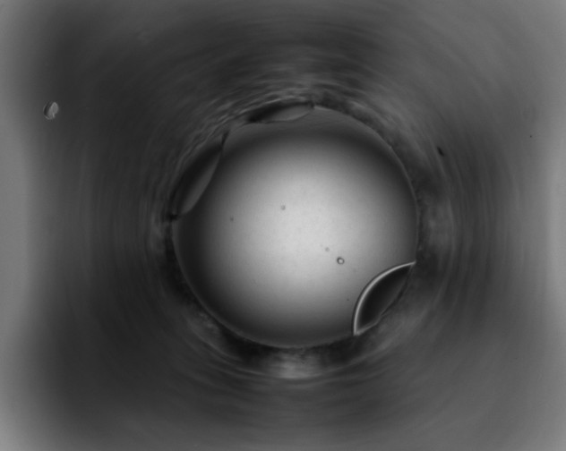 X0000092210275200709210955