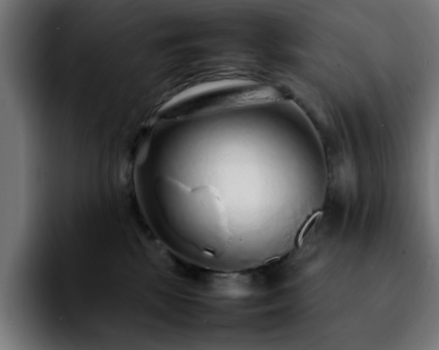 X0000092210281200709210955