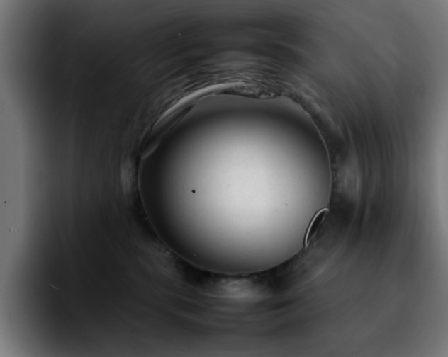 X0000092210283200709210955