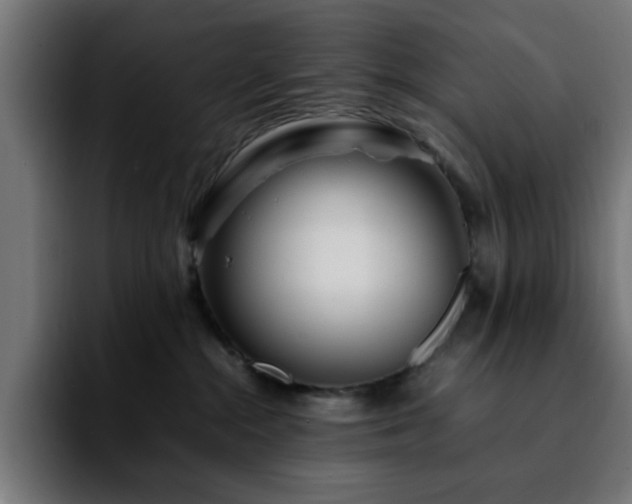 X0000092210284200709210955