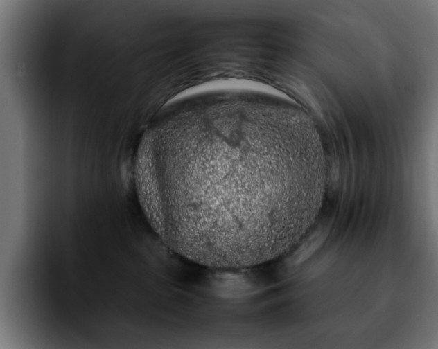 X0000092210285200709210955