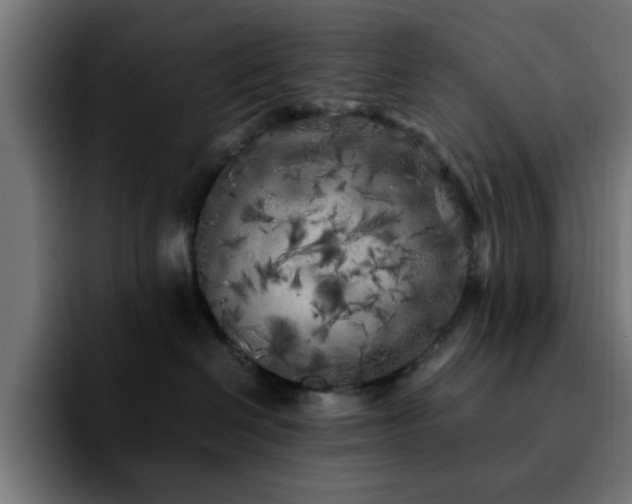 X0000092210286200709210955