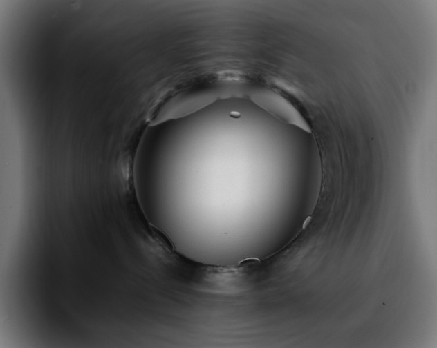 X0000092210288200709210955