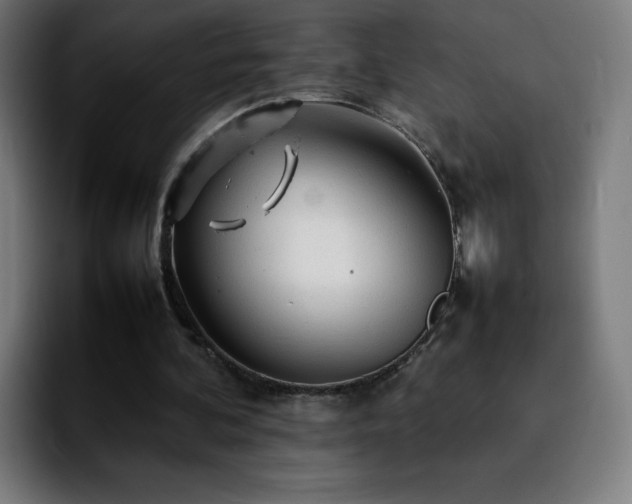 X0000092210292200709210955