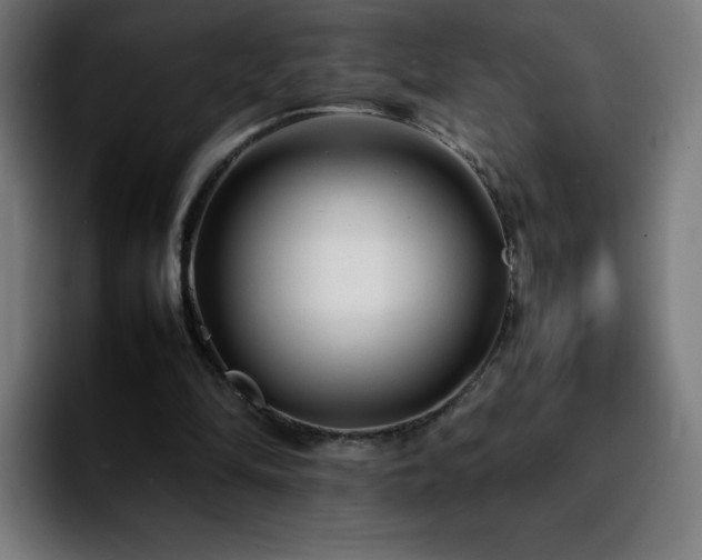 X0000092210294200709210955