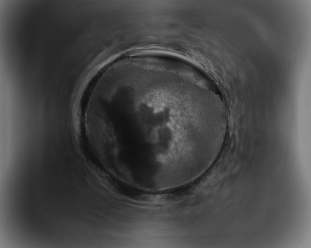 X0000092210295200709210955