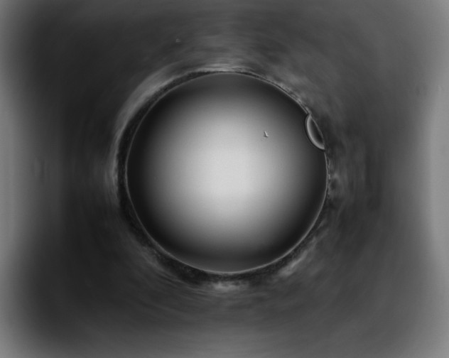 X0000092210296200709210955