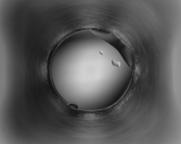 X0000092210298200709210954