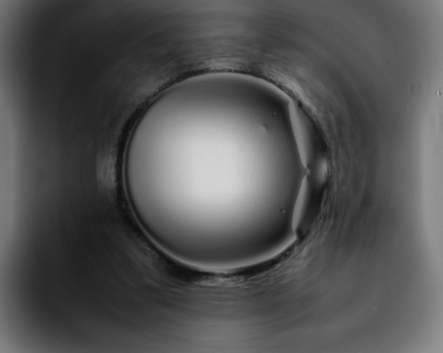 X0000092210299200709210954