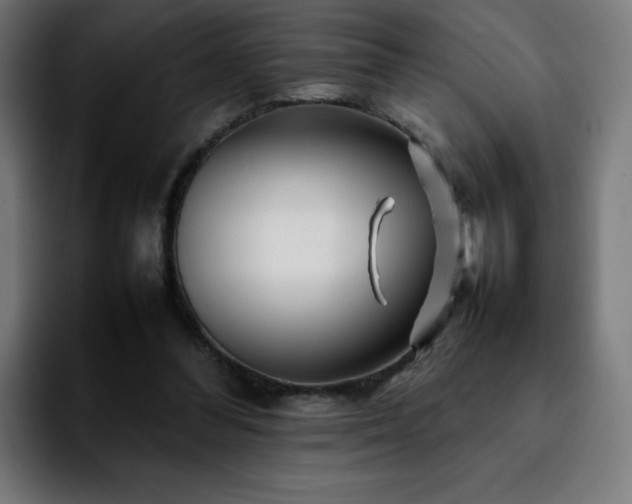 X0000092210300200709210954