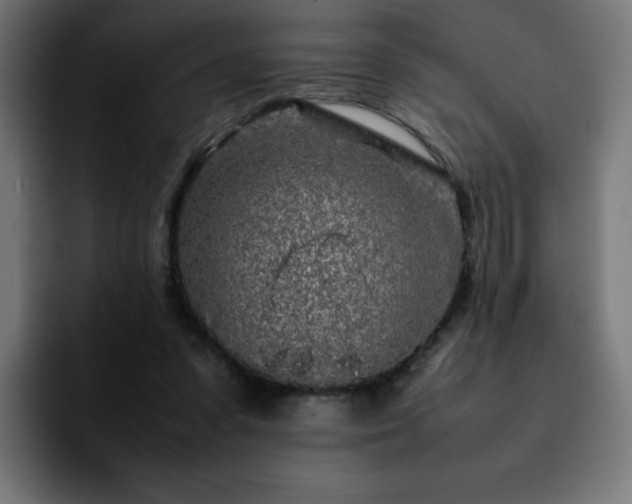 X0000092210303200709210954