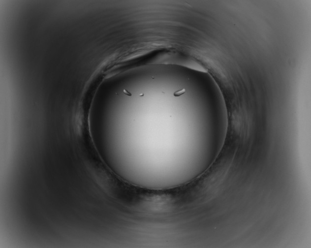 X0000092210304200709210954