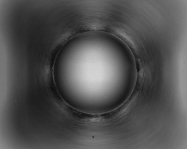 X0000092210306200709210954