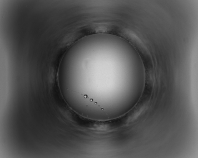 X0000092210311200709210954