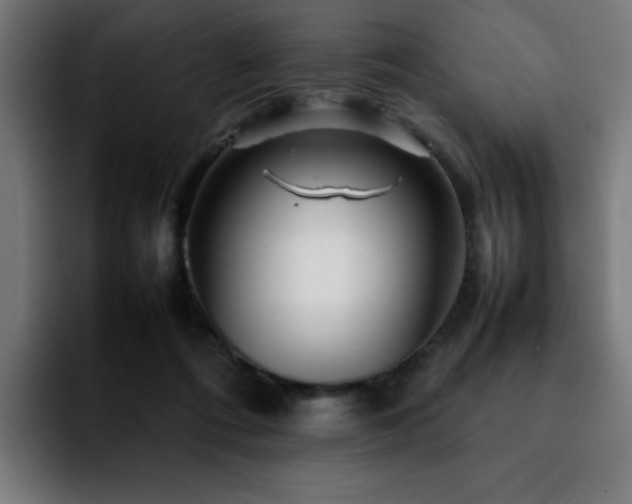 X0000092210312200709210954