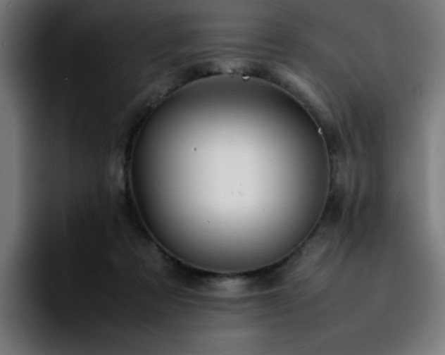 X0000092210313200709210954