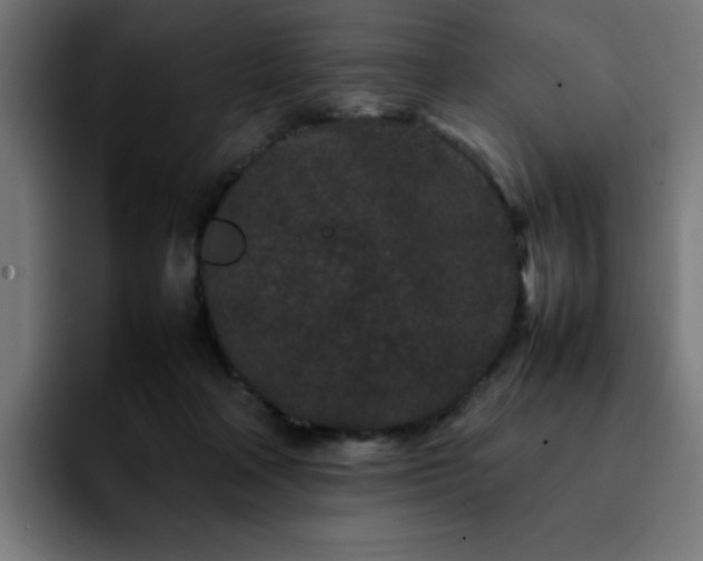 X0000092210314200709210954