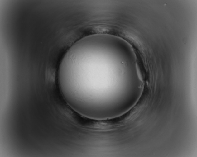 X0000092210315200709210954