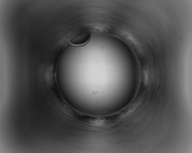 X0000092210318200709210954