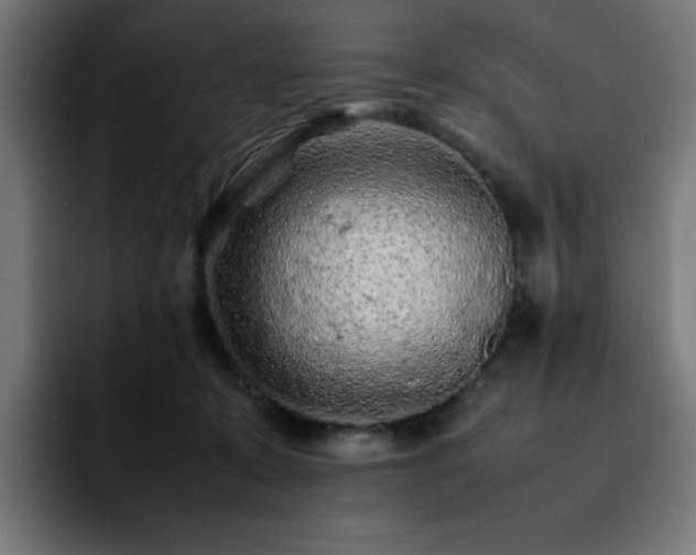 X0000092210319200709210954