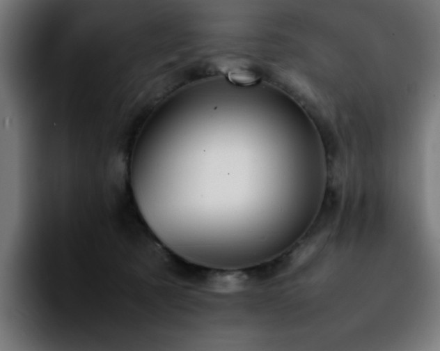 X0000092210321200709210954