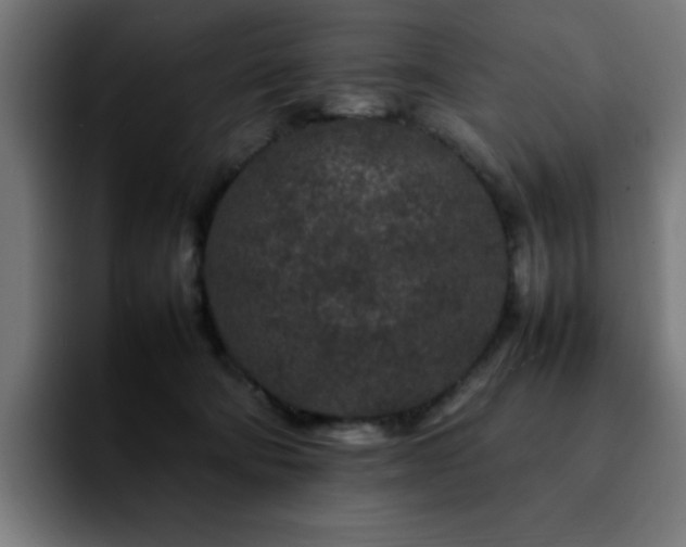 X0000092210322200709210954