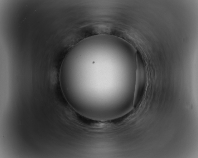 X0000092210323200709210954