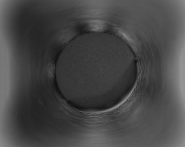 X0000092210325200709210954