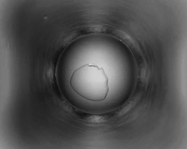 X0000092210326200709210954