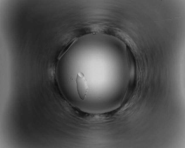 X0000092210329200709210954