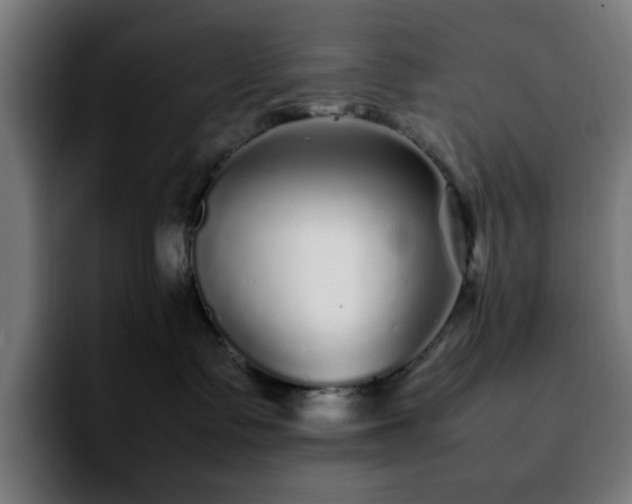 X0000092210335200709210954