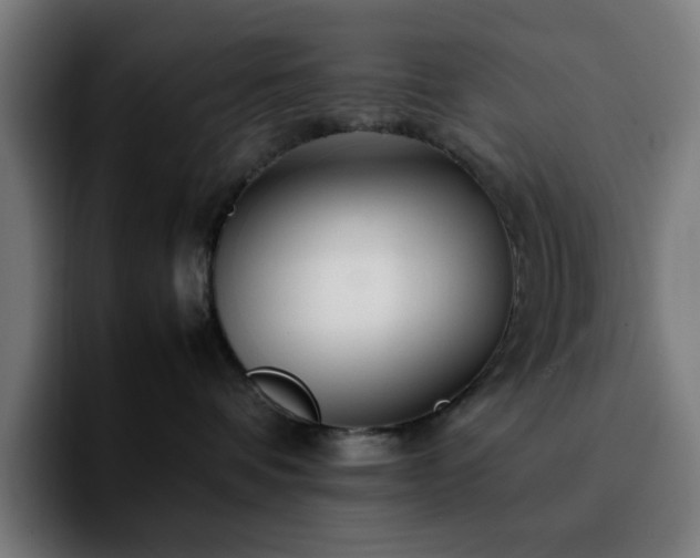 X0000092210336200709210954