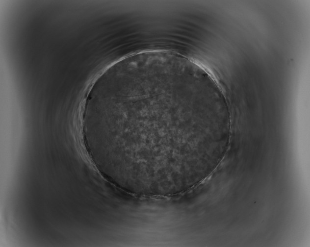 X0000092210337200709210953