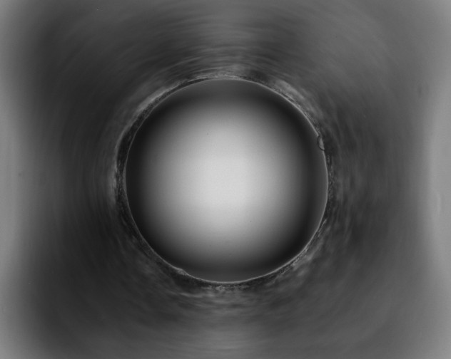 X0000092210338200709210953